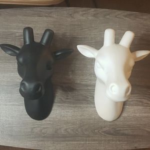 Black and White Giraffe Heads